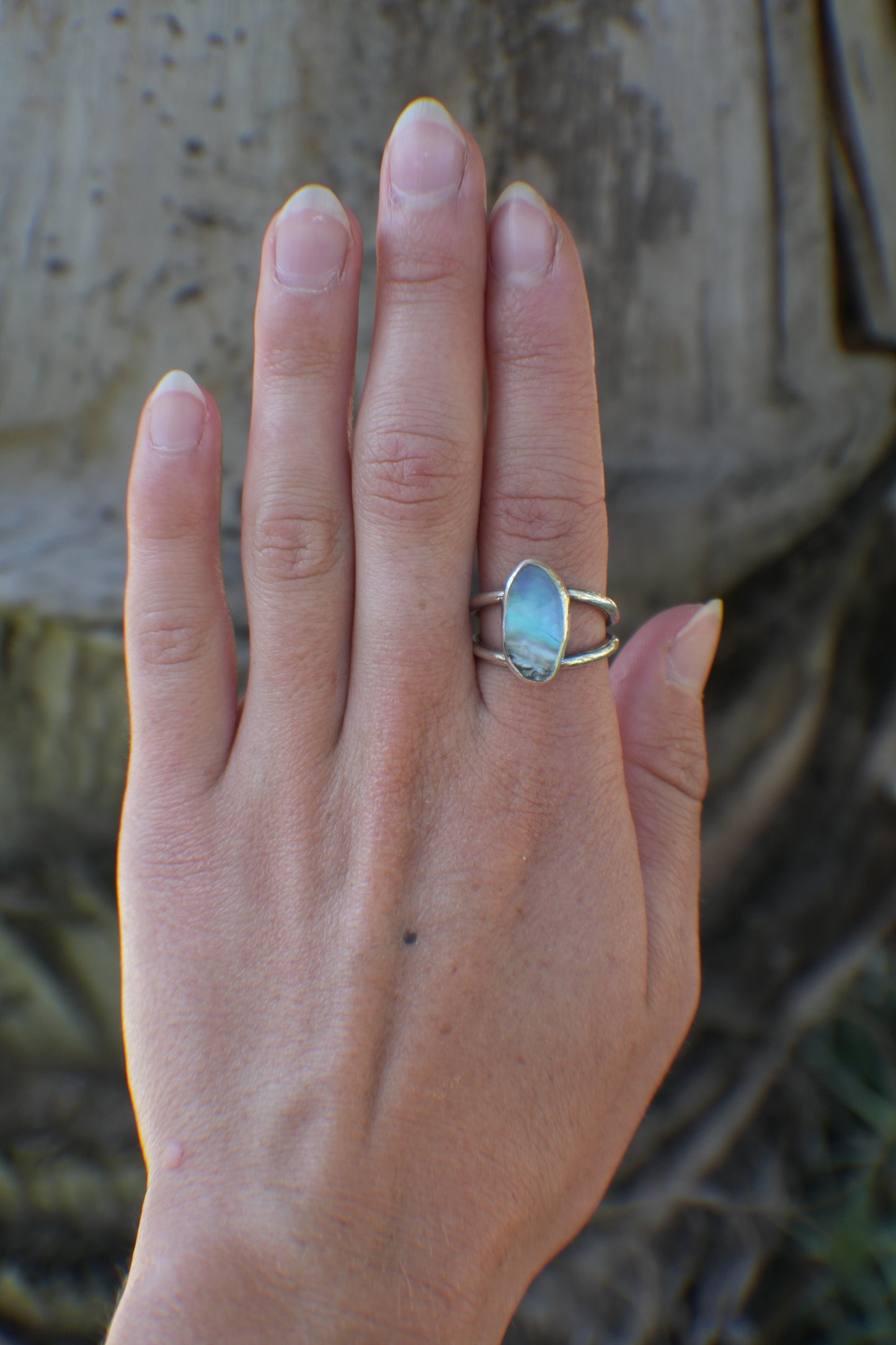 Double Band Abalone Ring 7