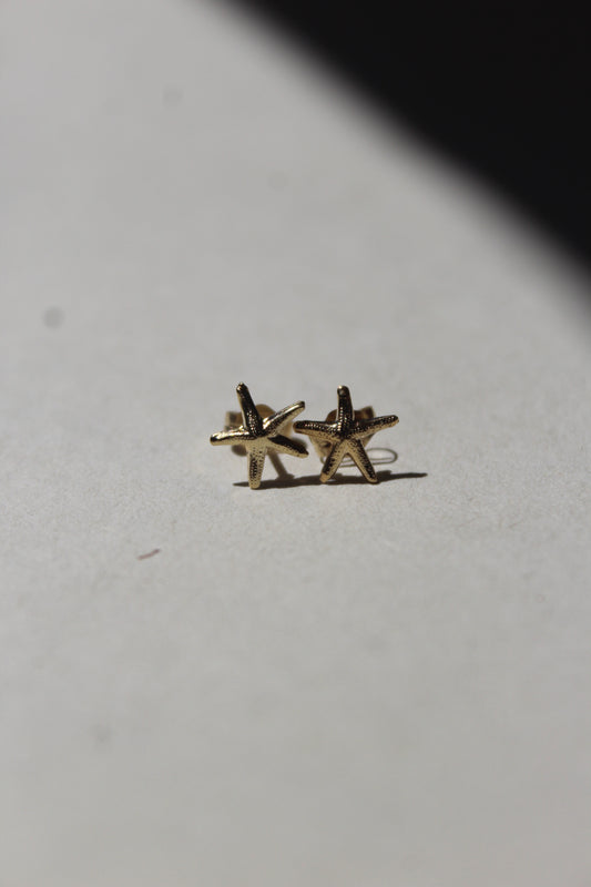 Starfish Studs