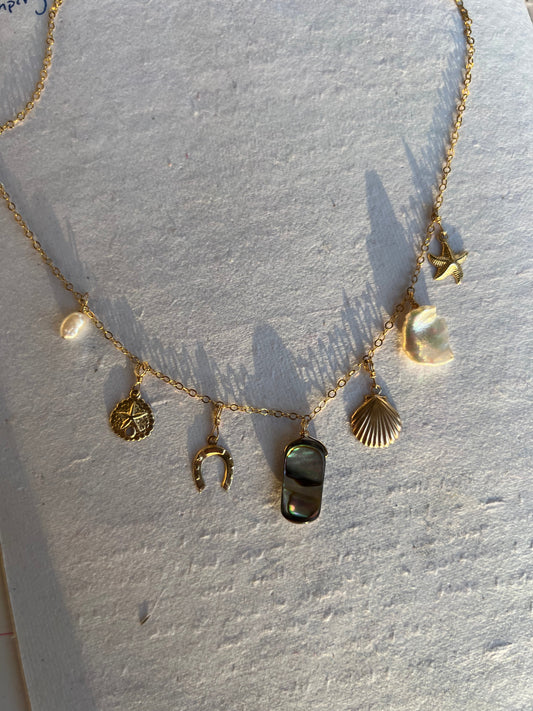 Abalone Charm Necklace