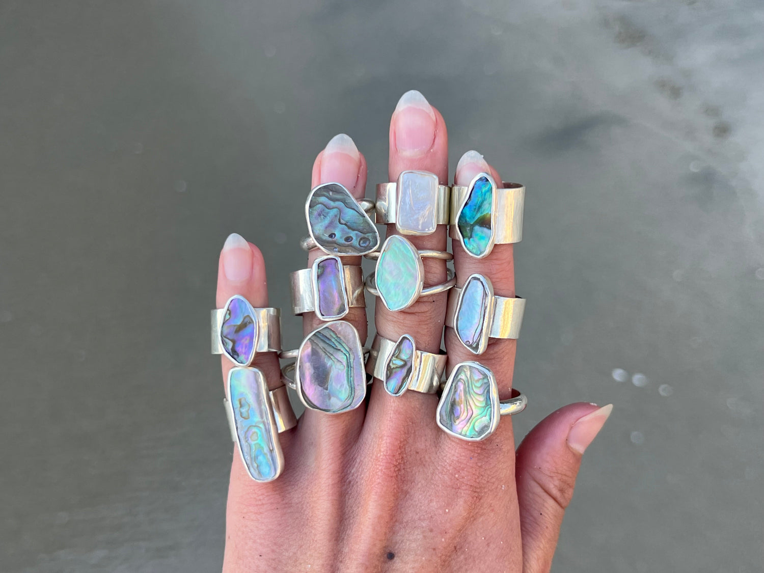 Abalone Collection VOL. 23