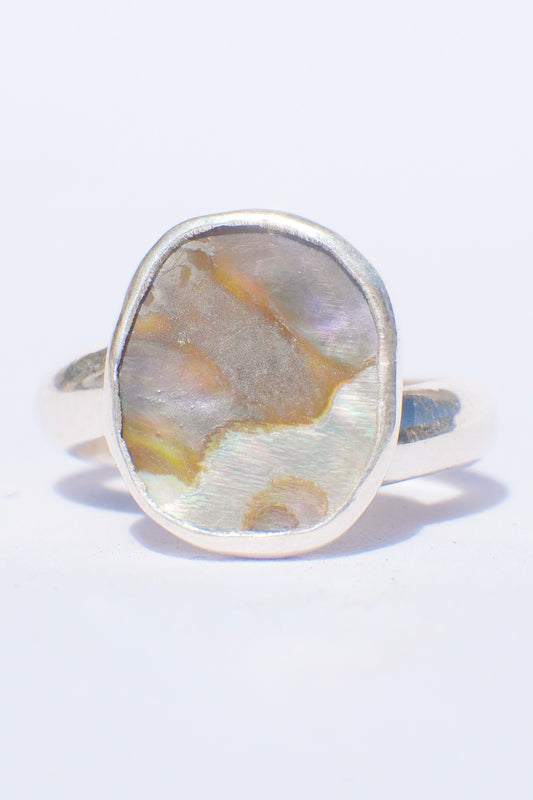 Abalone Ring 7