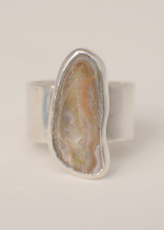 Abalone ring 6