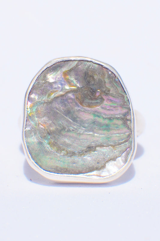 Abalone Ring 6
