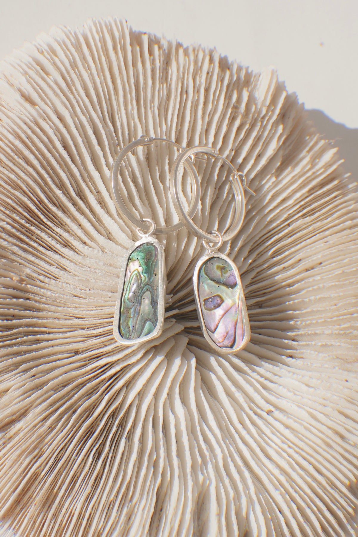 Reversible Abalone Hoops