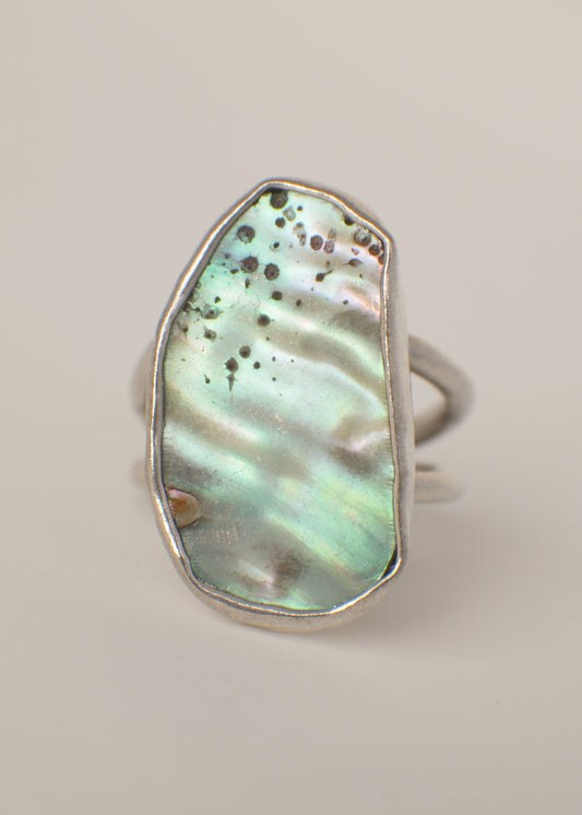 Abalone ring 6