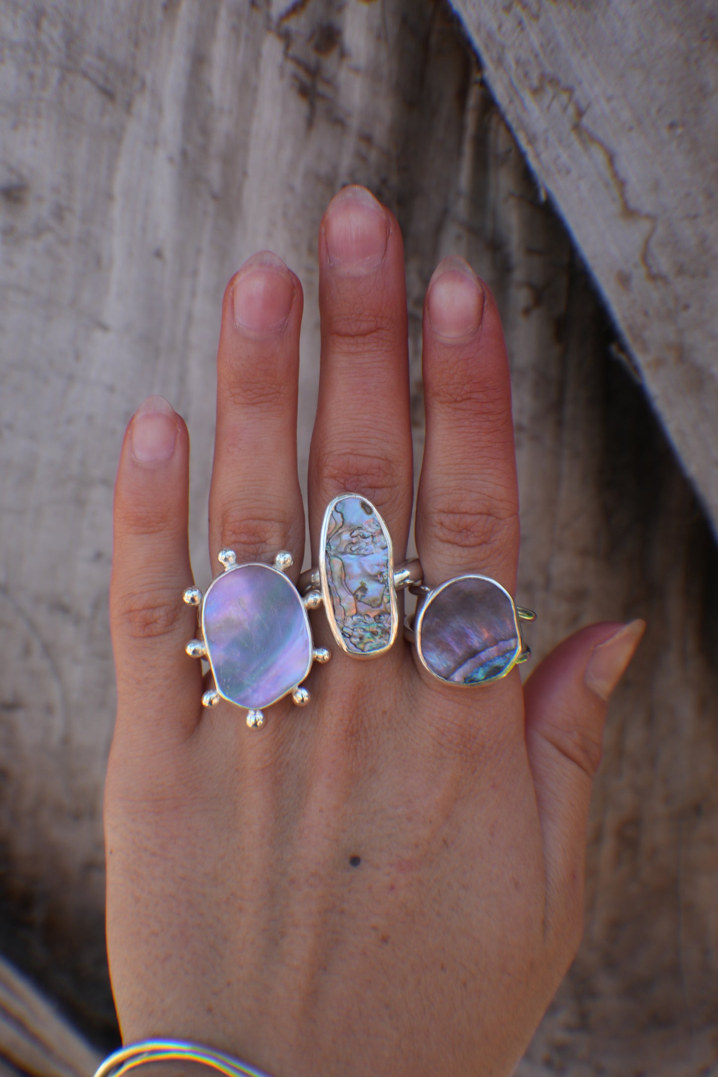 Abalone Ring 8