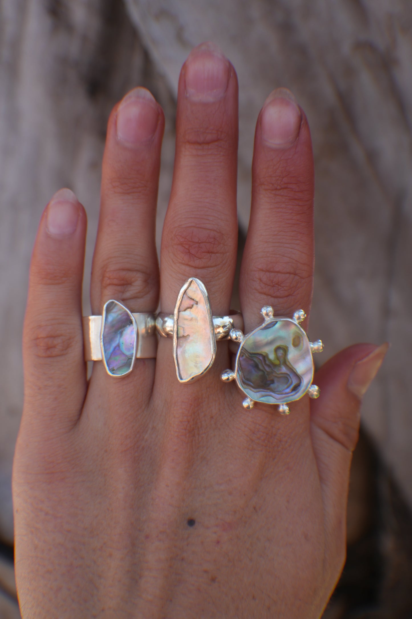 Abalone Ring 8