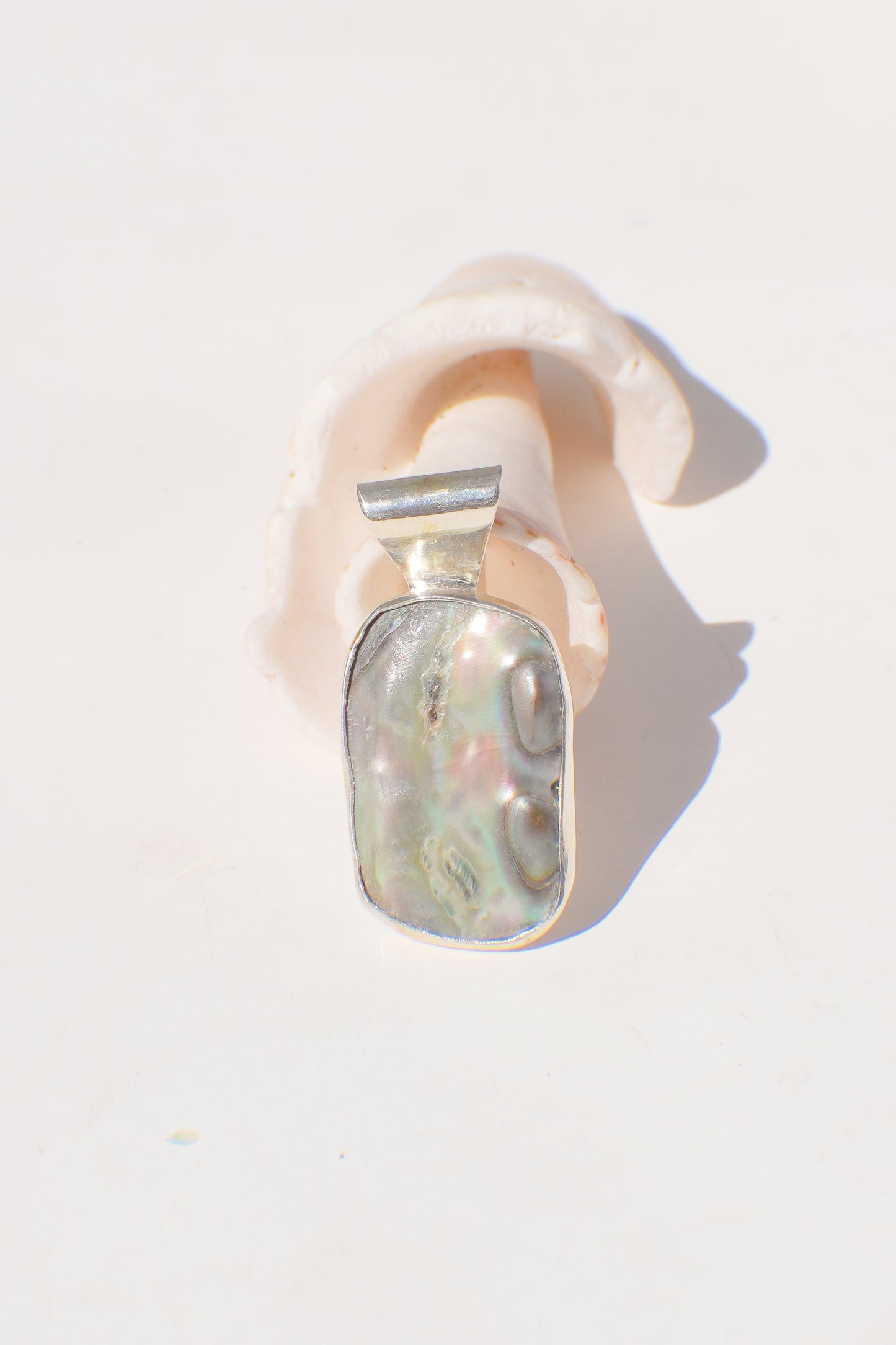 Abalone Necklace
