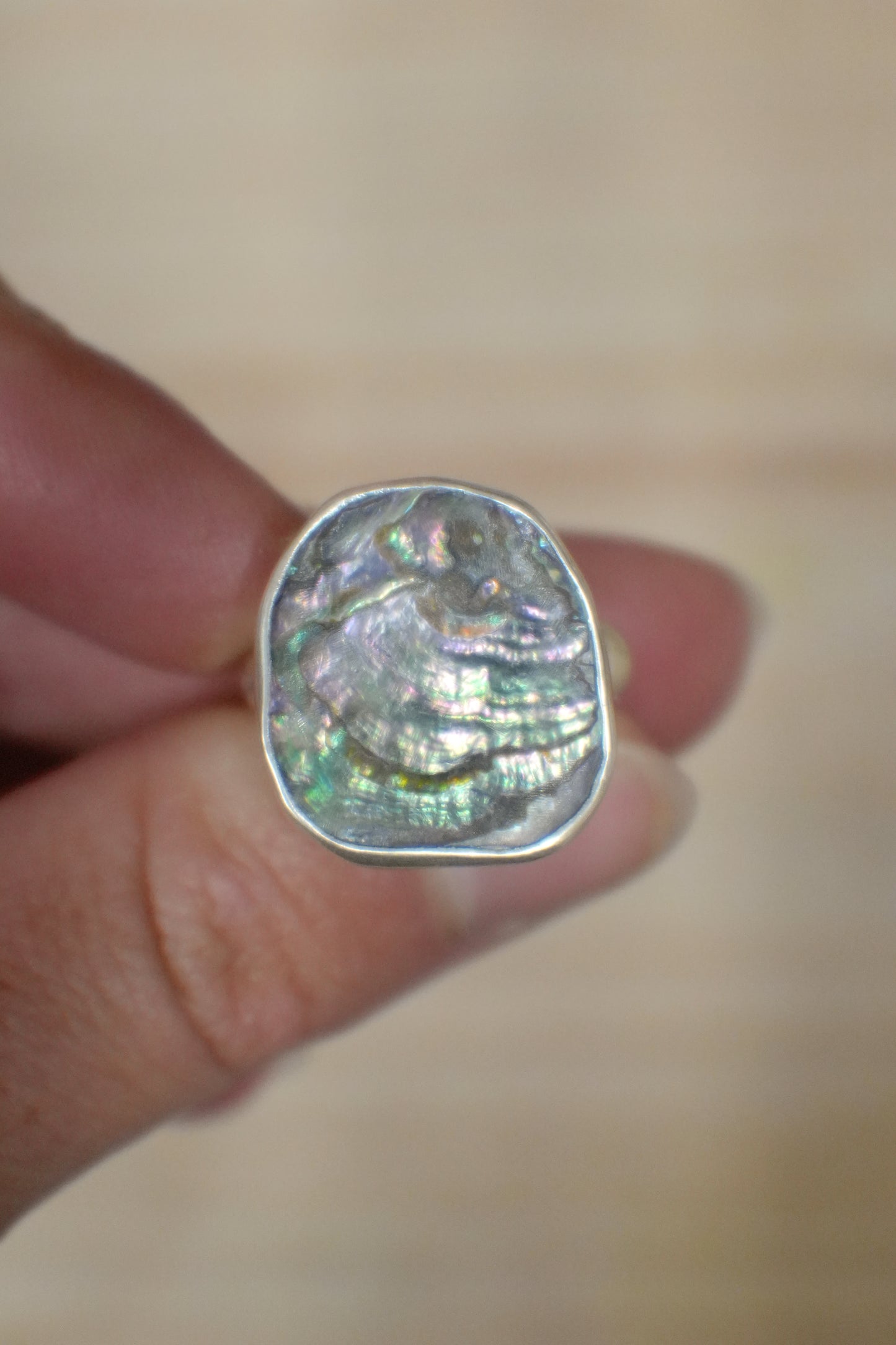 Abalone Ring 6