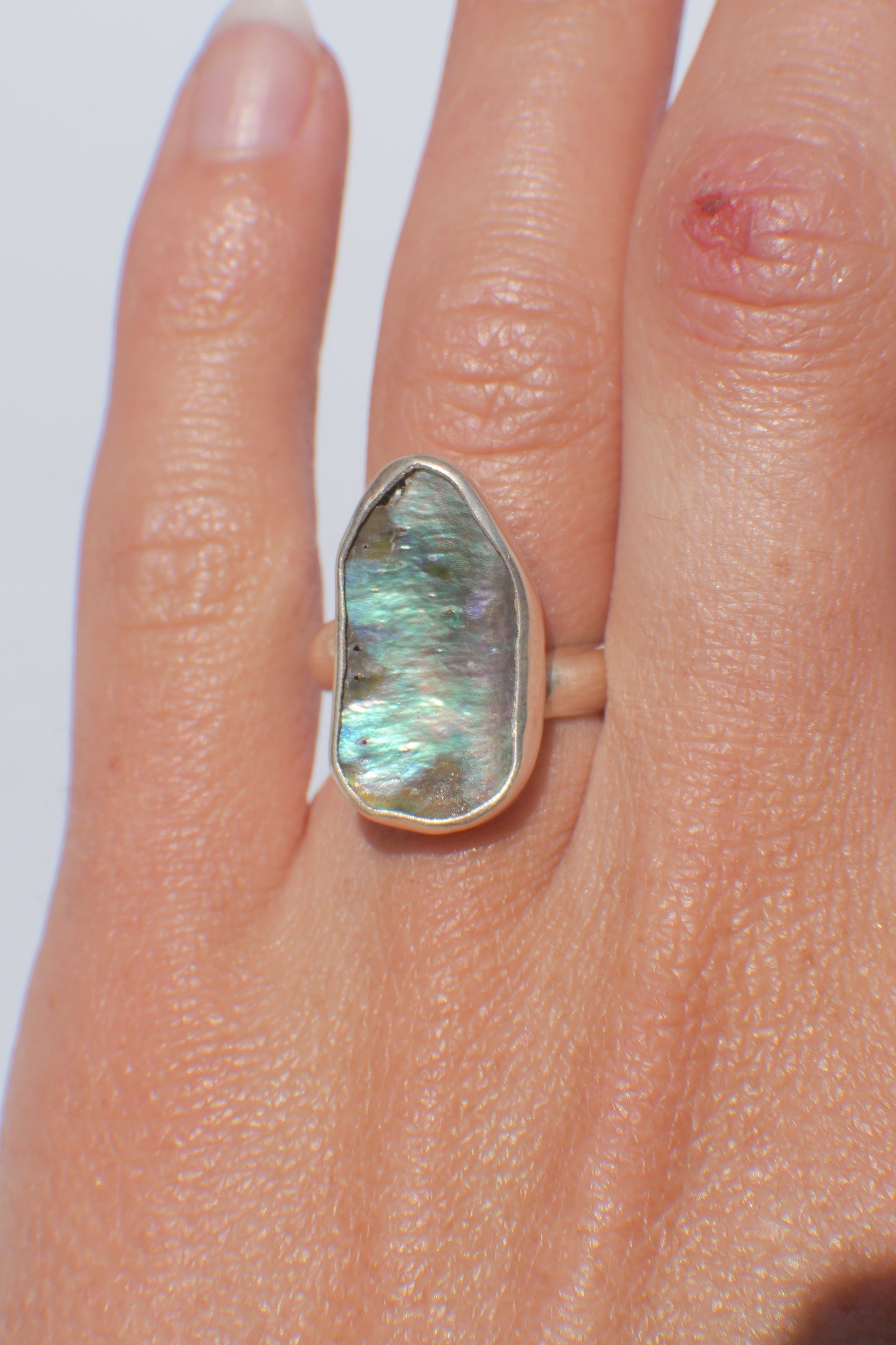 Abalone Ring 5