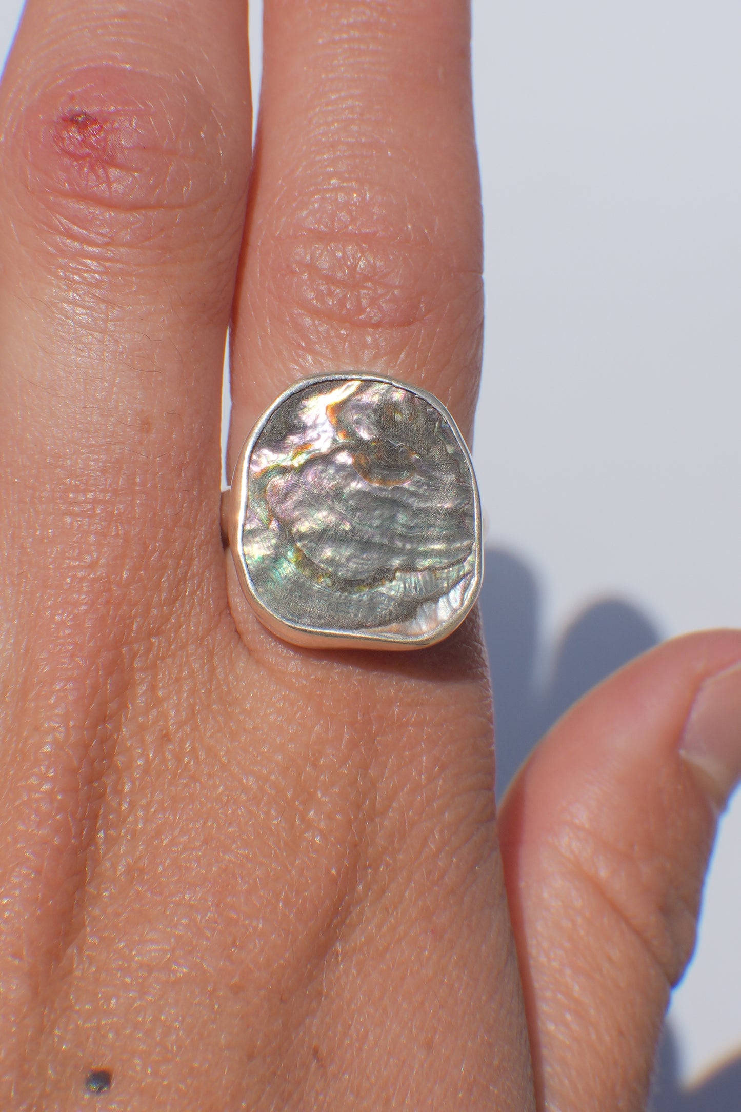 Abalone Ring 6