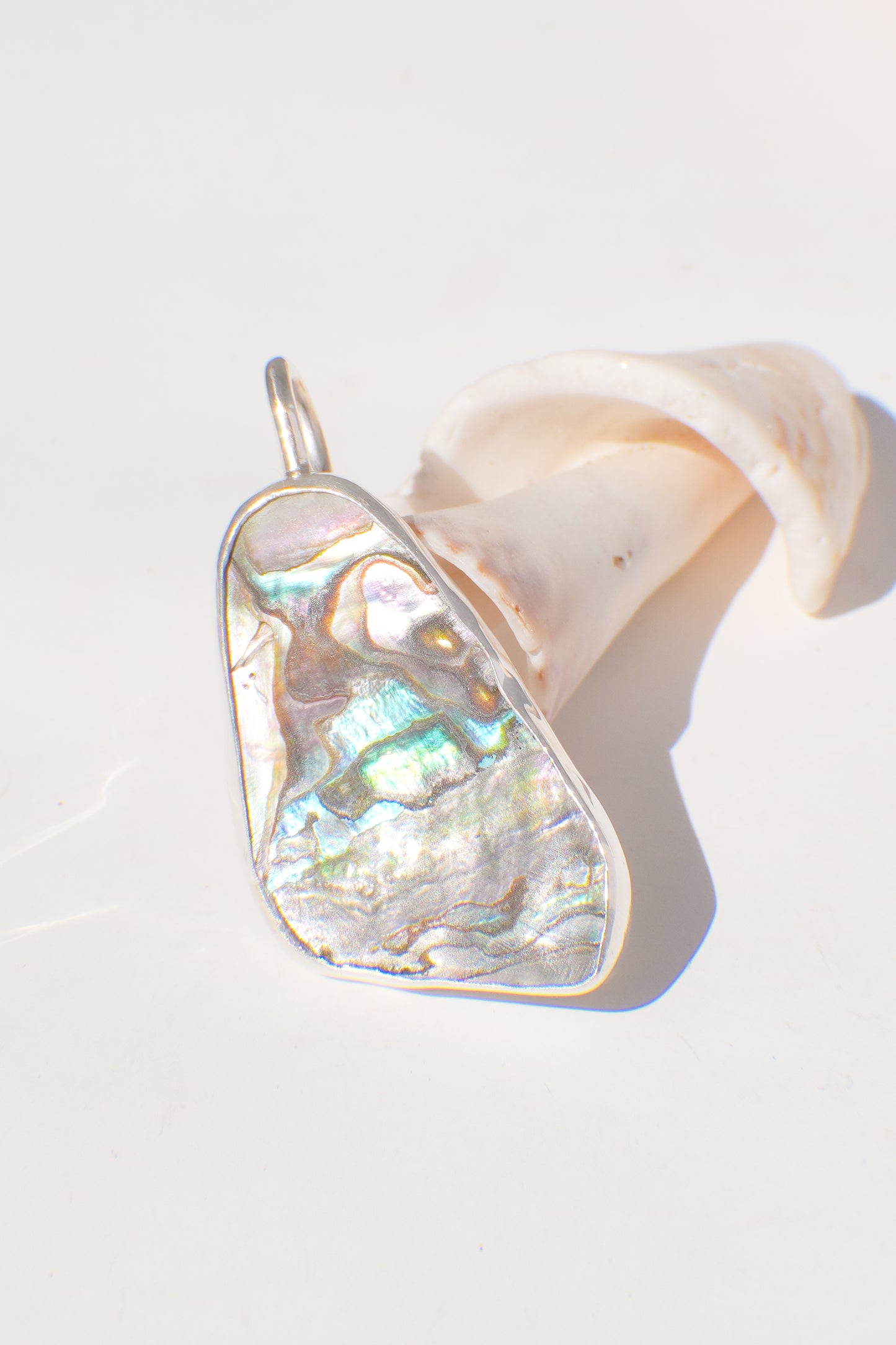 Abalone Necklace