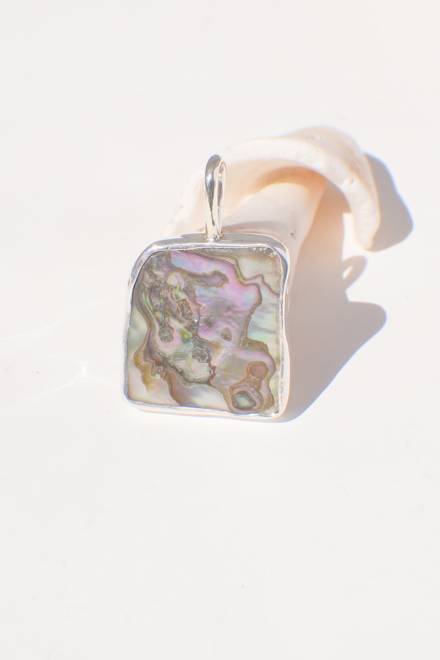 Abalone Necklace