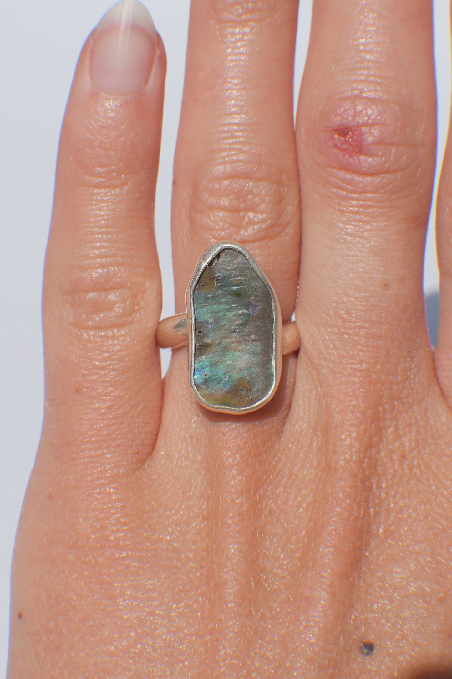 Abalone Ring 5