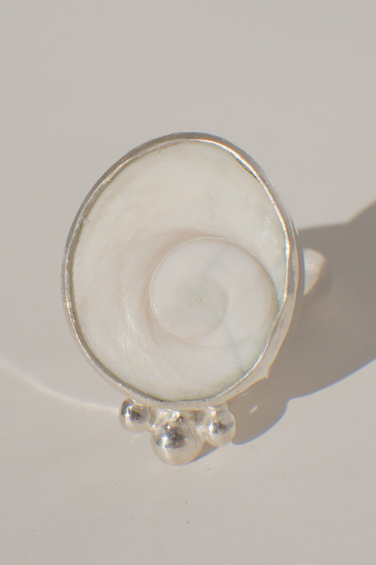 Twisted Dainty Band Operculum Ring 4