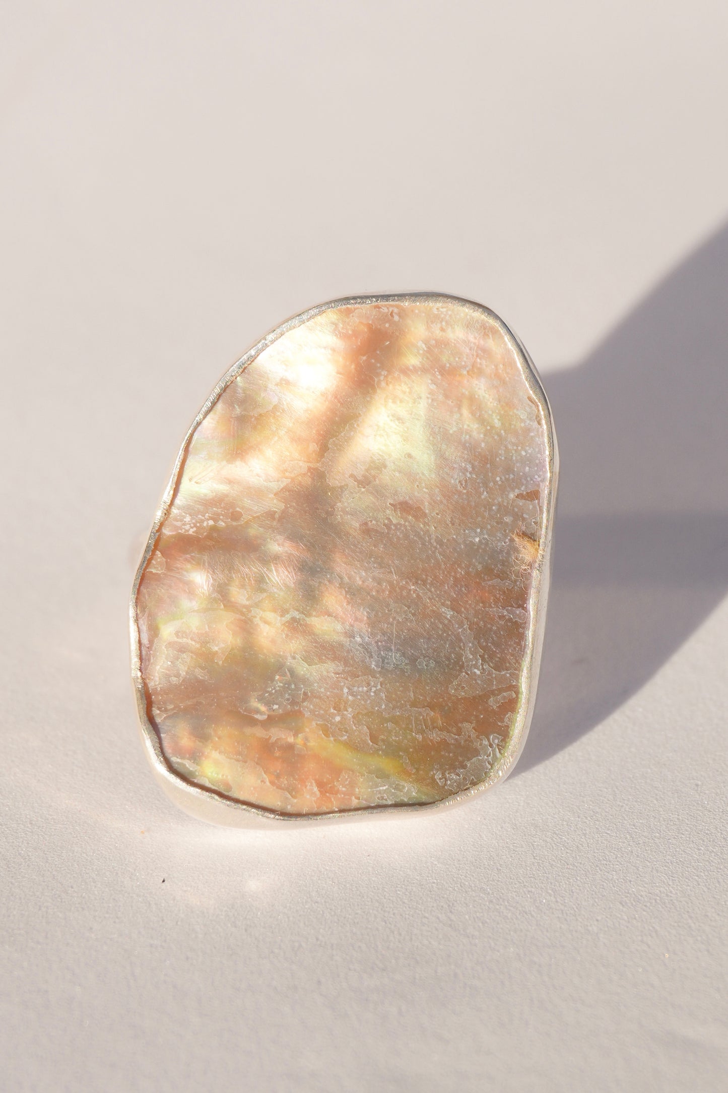Abalone Ring 8