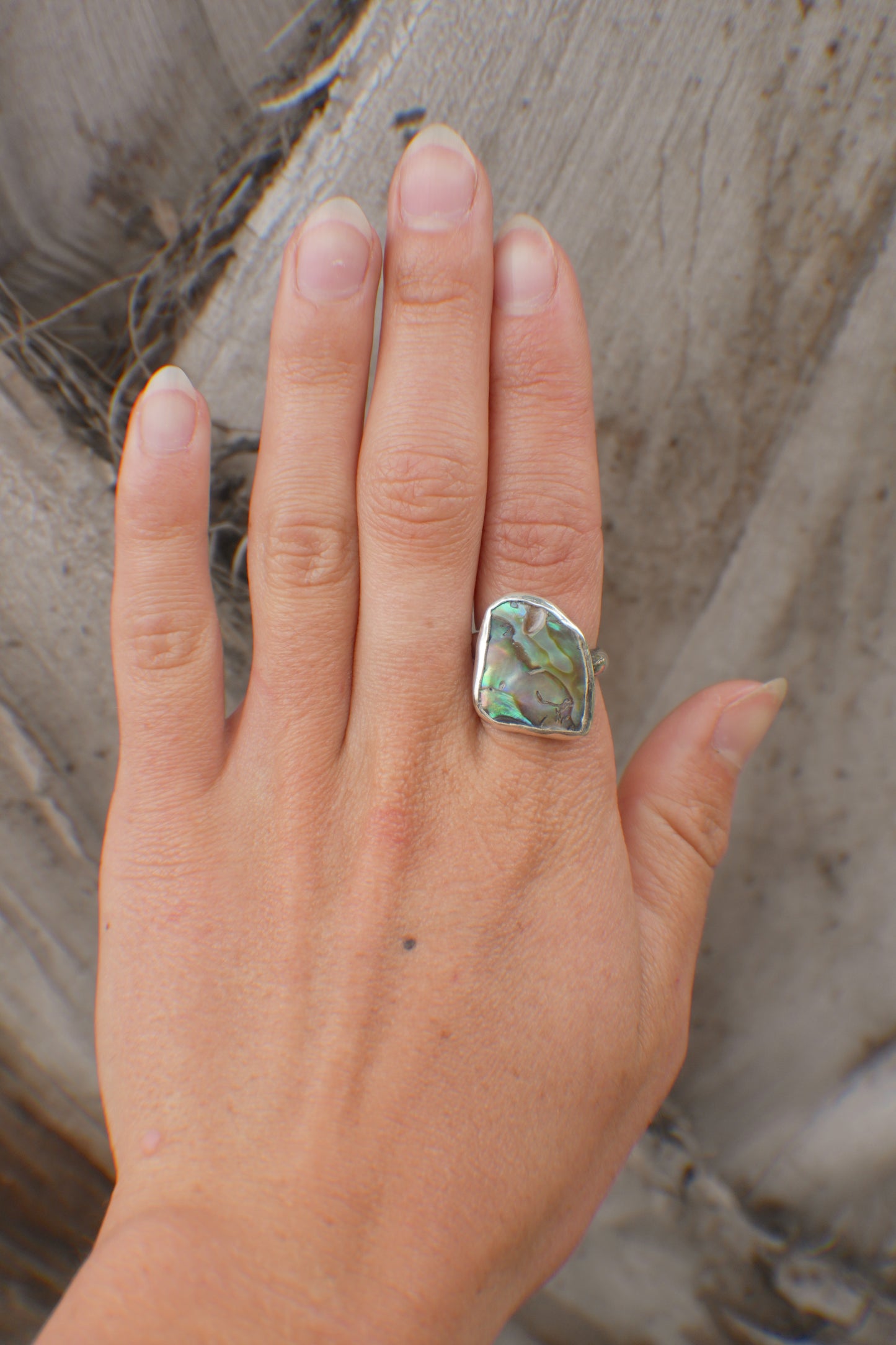 Abalone Ring 6
