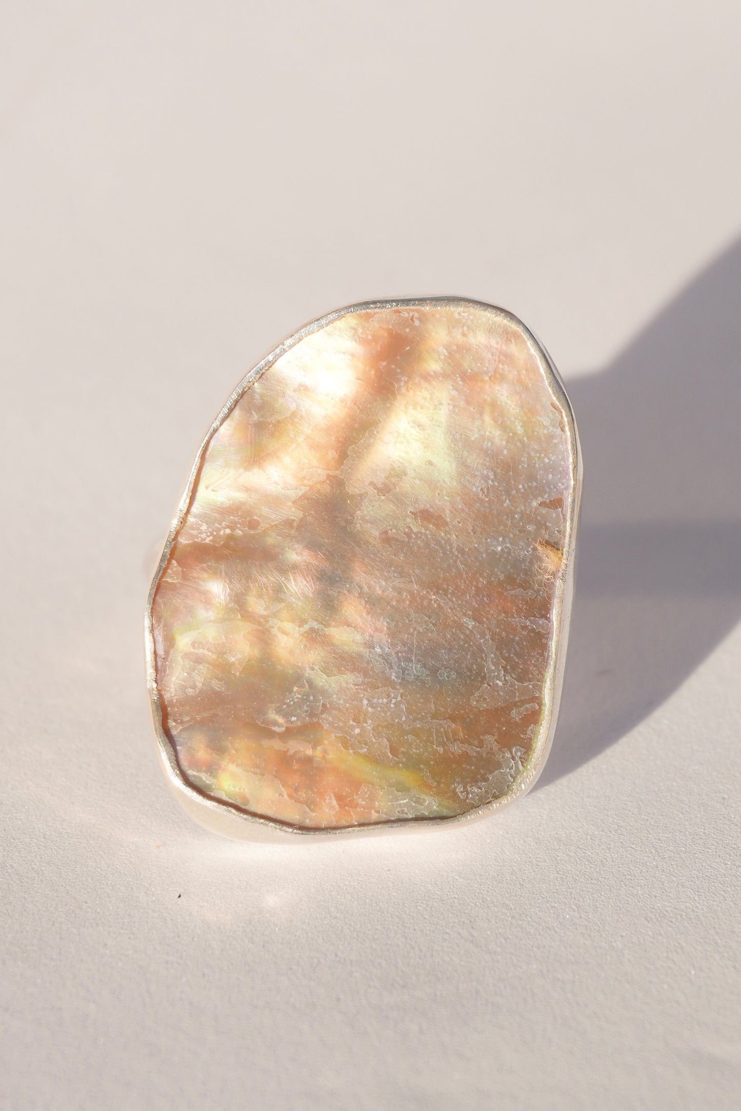 Abalone Ring 8