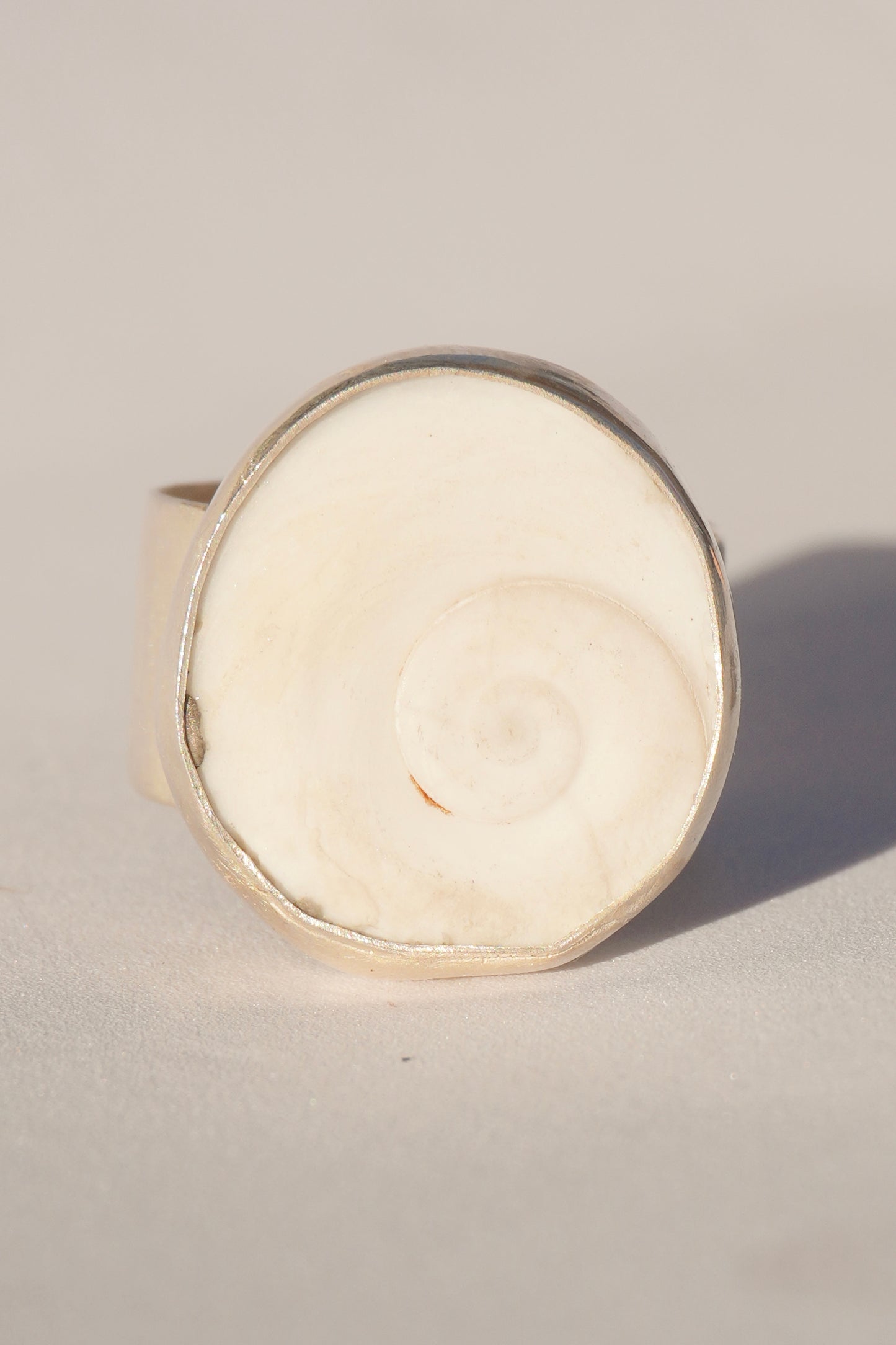 Operculum Ring 7