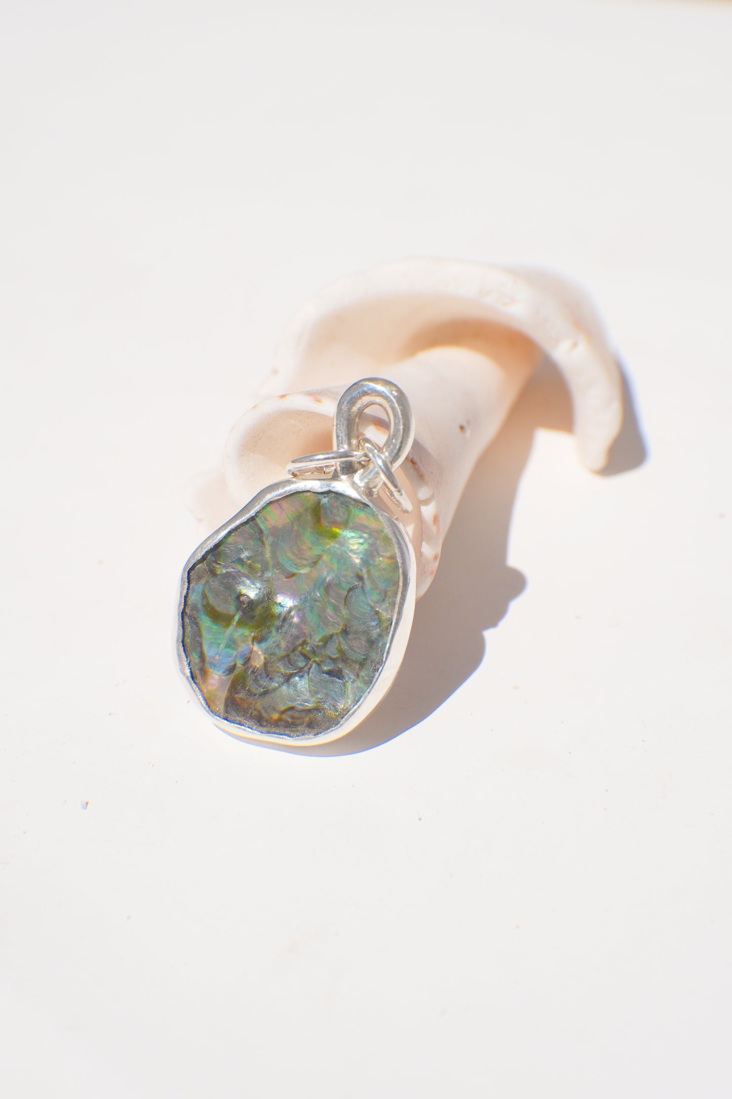 Abalone Necklace